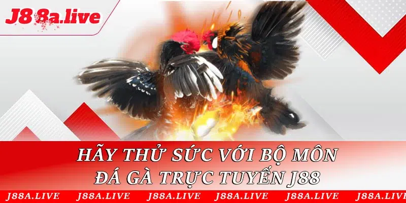 Hãy thử sức với bộ môn đá gà trực tuyến J88