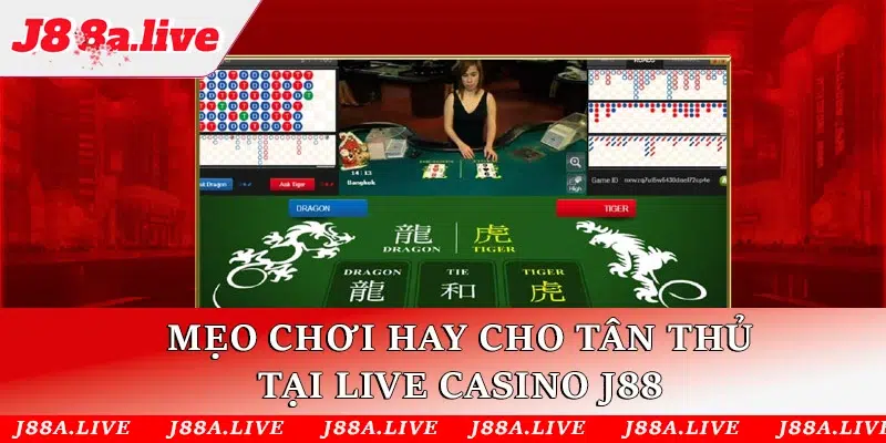 Mẹo chơi hay cho tân thủ tại live casino J88